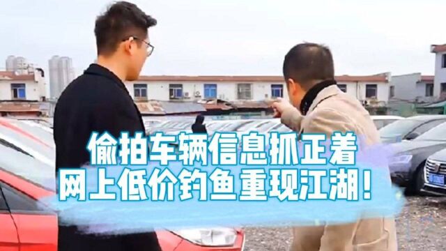 小哥偷拍车辆信息被抓行,网上低价买车需小心谨慎?