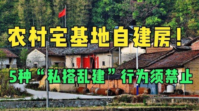 农村宅基地免费申请自建房,这5种“私搭乱建”行为必须禁止!