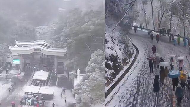 太浪漫!长沙迎来入冬第一场雪,市民打卡岳麓山最美雪景