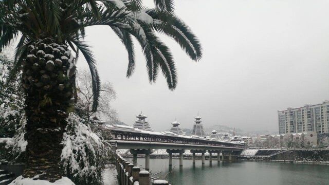 家乡的雪景