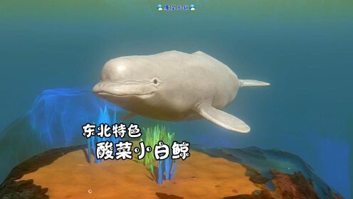 天铭 海底大猎杀 第三季 101 东北特色：酸菜小白鲸，你敢信？！