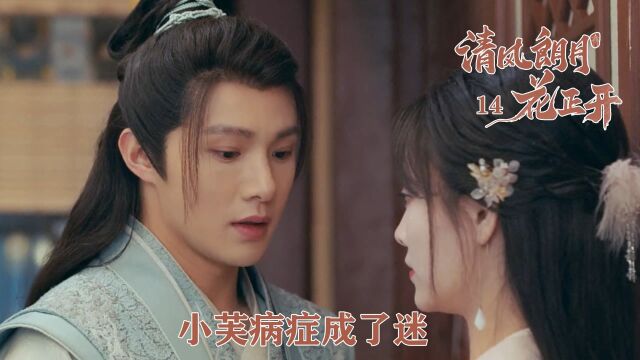 速看《清风》14:小芙病症成了迷