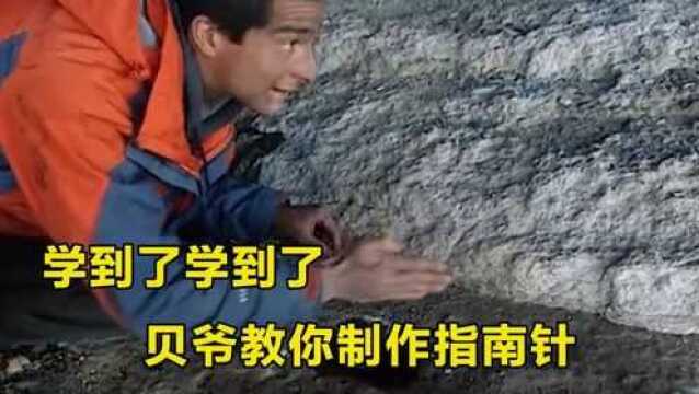 太实用了,贝爷教你制作简易指南针,寻找方向