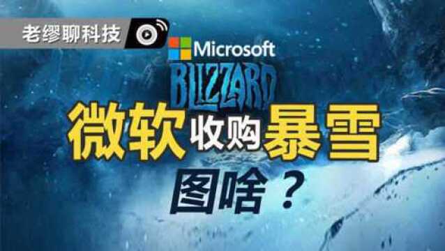 微软收购动视暴雪,究竟图啥?