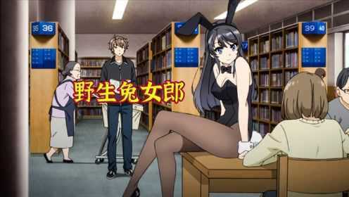 图书馆里惊现野生兔女郎，可人们却为何视而不见？