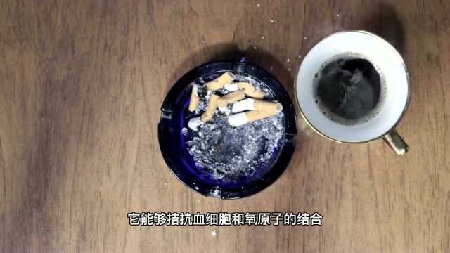 茶烟不含尼古丁,但是对肺部的危害并不小!