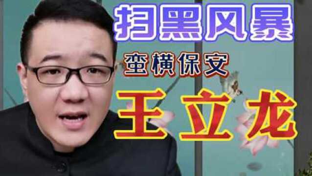 扫黑故事:保安与商户发生口角,让手下围殴,王立龙最终引起众怒