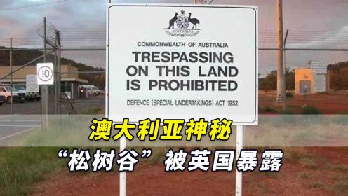 “对西方监视中国极重要”！澳大利亚神秘“松树谷”被英国暴露了