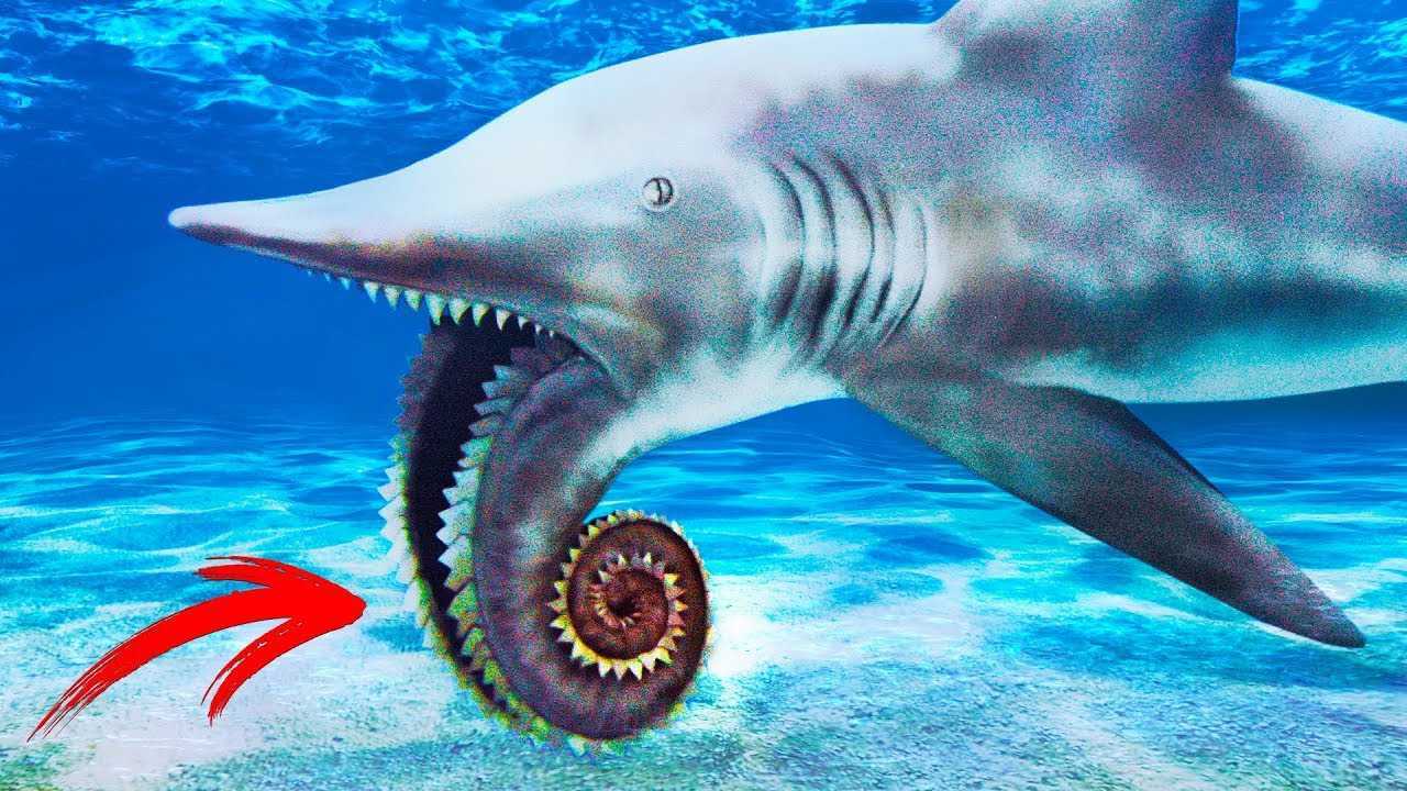 古生代长达3.4亿年，地球上出现过哪些奇葩生物？_腾讯视频