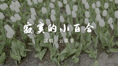 [图]【音乐】云菲菲《寂寞的小百合》：渴望春天的芬芳，期盼心中的火热！