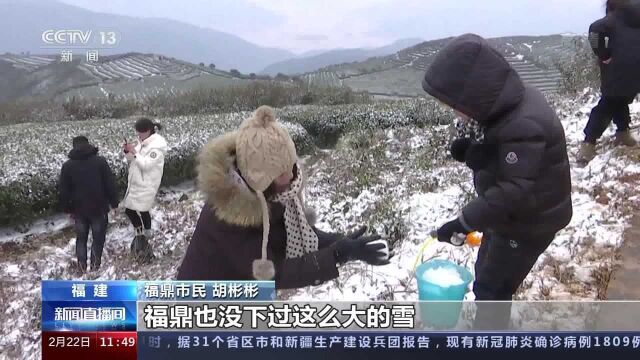 福建多地迎来降雪 雪景引人醉