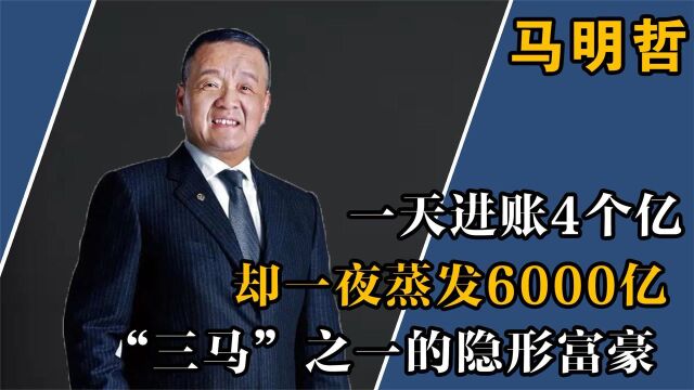 从电工到亿万富豪,公司利润超三家茅台,如今6000亿市值消失被查