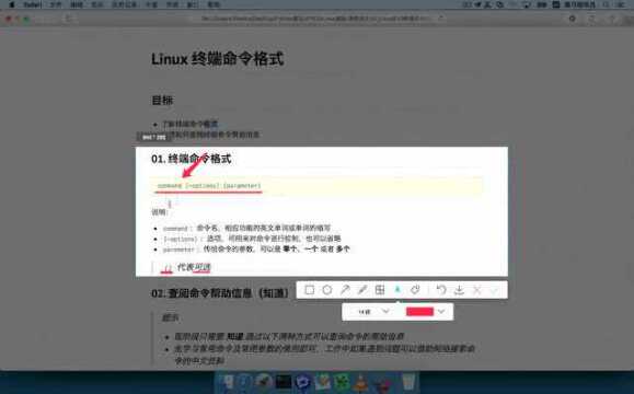 17Linux命令05终端命令格式