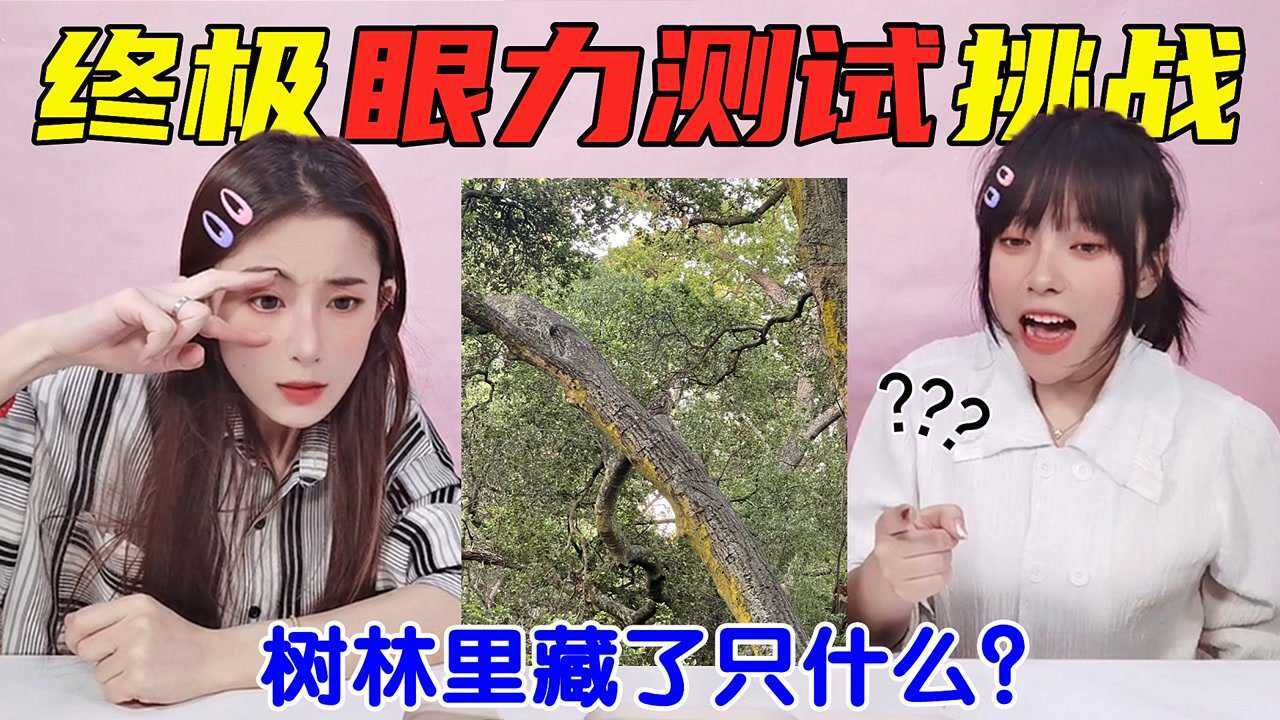 眼力测试大挑战！拥挤的人群中藏了一只“猫咪”？你能快速找到吗_高清