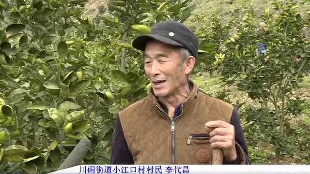 【碧江新闻】【3月8日】点这里!看碧江区电视新闻