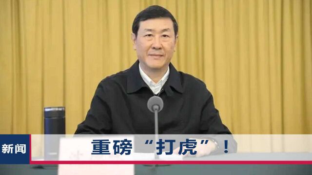 2022年首个正部级官员落马,身居最高法18年之久,离任宣言太讽刺