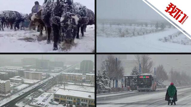 内蒙古多地出现降雪天气:乌兰察布多地有暴雪 四子王旗所有幼儿园小学停课