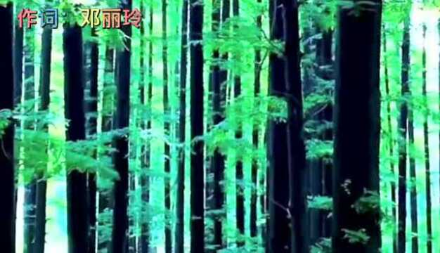 客家音乐 | 《潇潇洒洒爱一回》