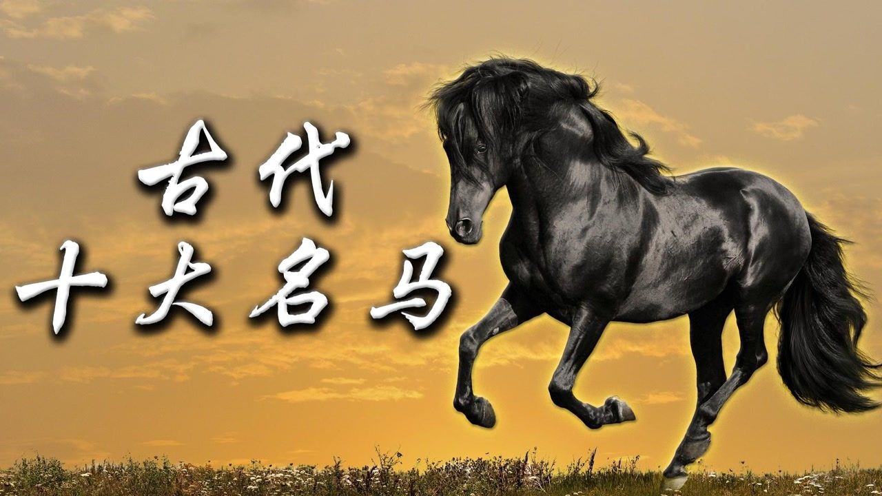 中国古代十大名马排行,汗血宝马也只能排末尾,第一名马有多牛?_高清1080P在线观看平台_腾讯视频