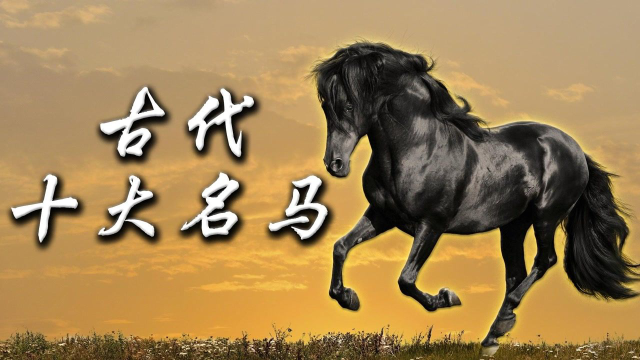 中國古代十大名馬排行,汗血寶馬也只能排末尾,第一名馬有多牛?