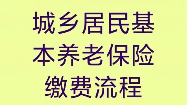 城乡居民养老保险缴费流程 横屏