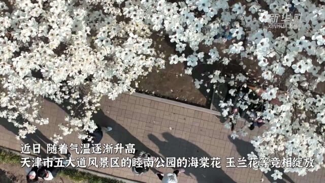 花开烂漫春意浓 万国建筑展新风