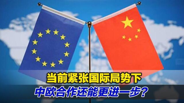 当前紧张国际局势下,中欧合作还能更进一步?专家这样说