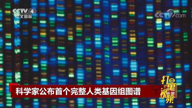 首个完整人类基因组图谱公布,可推进多个领域医学研究