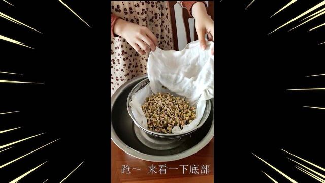 宅家日记(如涉及侵权请联系作者下架)