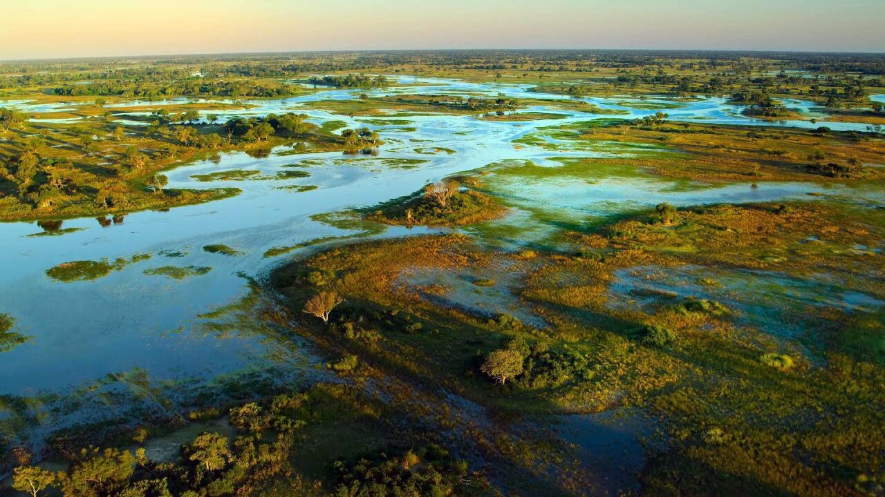 地球上最大的湿地,上面的动物简直海了去了