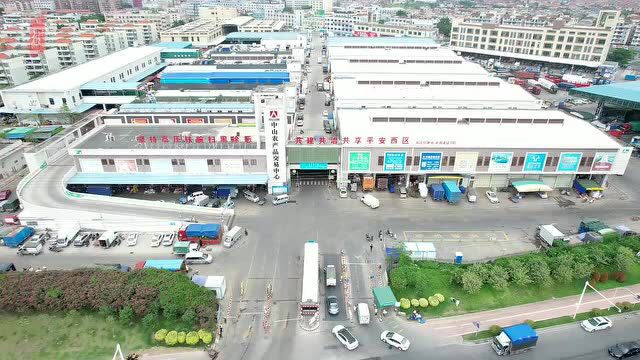 视频丨中山农产品交易中心这样守护城市“大菜篮”