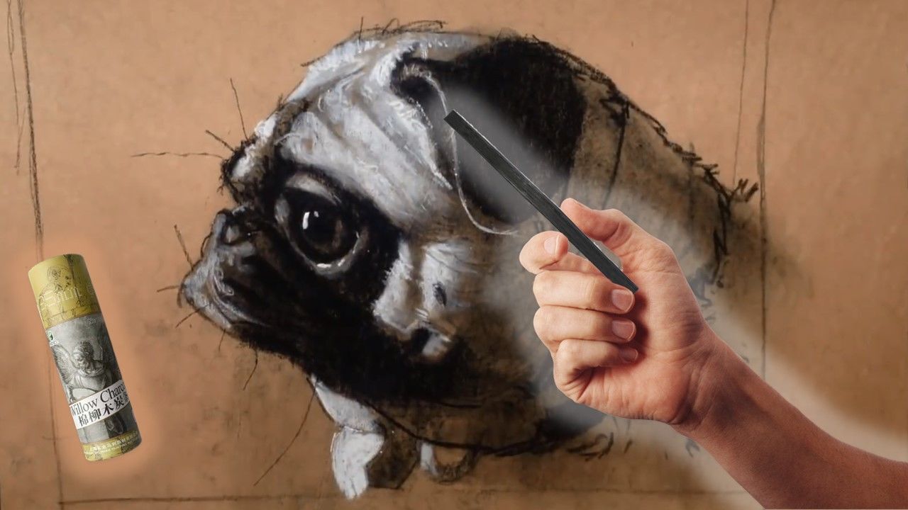 木炭条动物素描- 沙皮狗