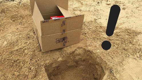 在沙滩上发现了神秘宝藏箱，竟然挖出了咖宝蛋神？