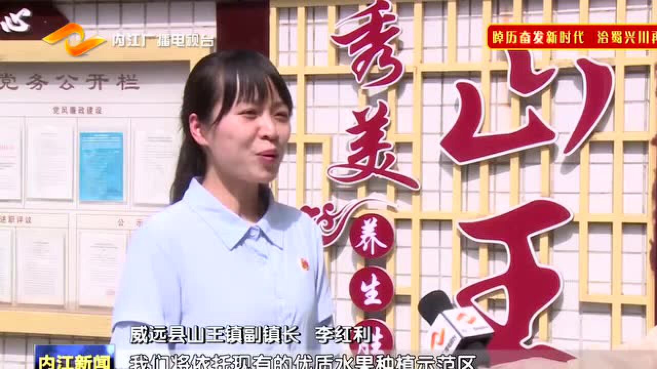 威远县山王镇:农旅深度融合 乡村振兴后劲足