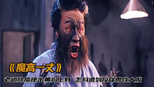 人魔害人无数，老道为除魔使出黄狗上身，怎料竟兽性大发，奇幻