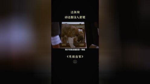 《无敌当家1》