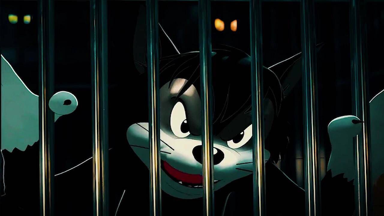 精选黑猫布奇堪称捕鼠界的一哥8.