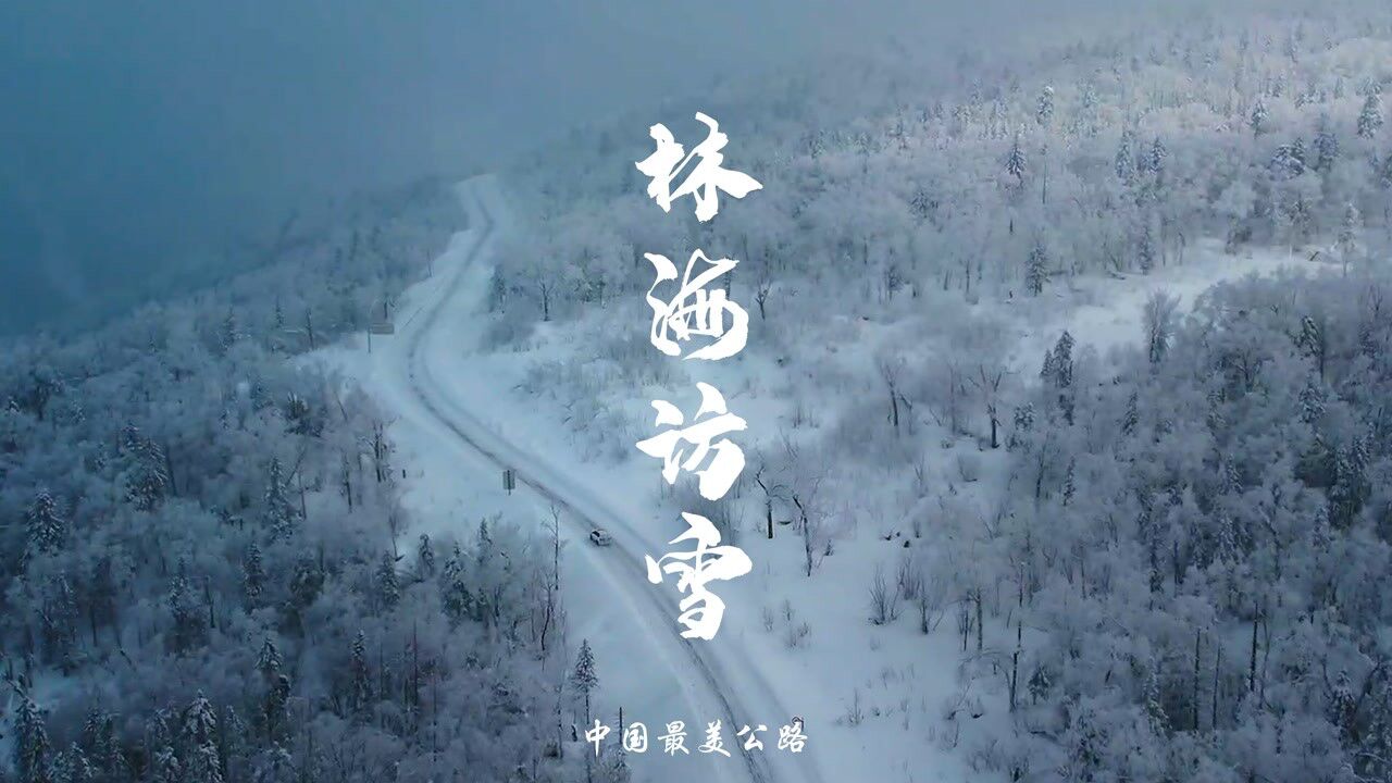 林海访雪|中国最美公路林海雪原公路两旁，层次分明的的雪松和云杉，与山坳间红绿交错的民居建筑交相呼应构筑而成的冰雪景观，沿着鹤大公路走入“冰雪 ...