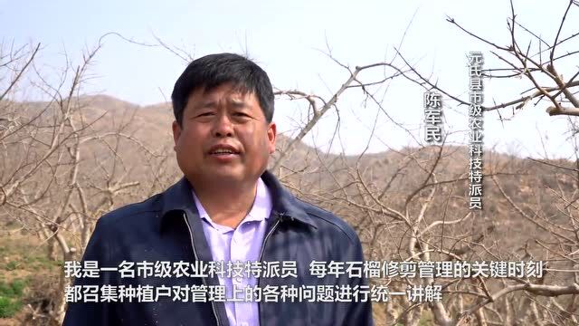 人民日报客户端 | 石家庄元氏:农技特派员田间地头送“良方”