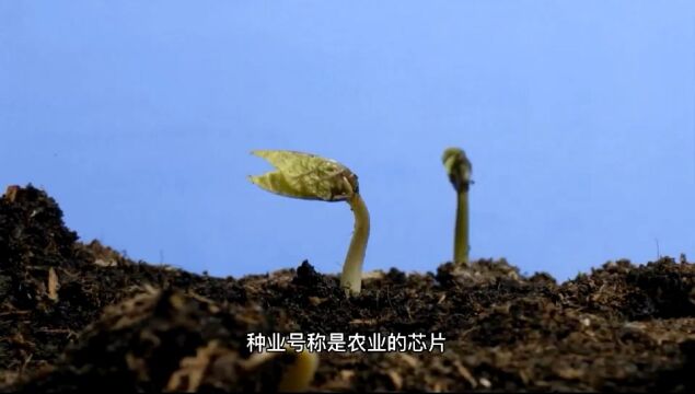 河南省豫煌种业有限公司宣传片