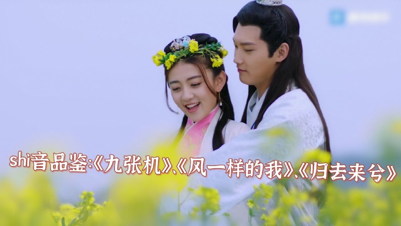 双世宠妃歌曲(舍得双世宠妃歌曲) 双世宠妃歌曲(舍得双世宠妃歌曲)