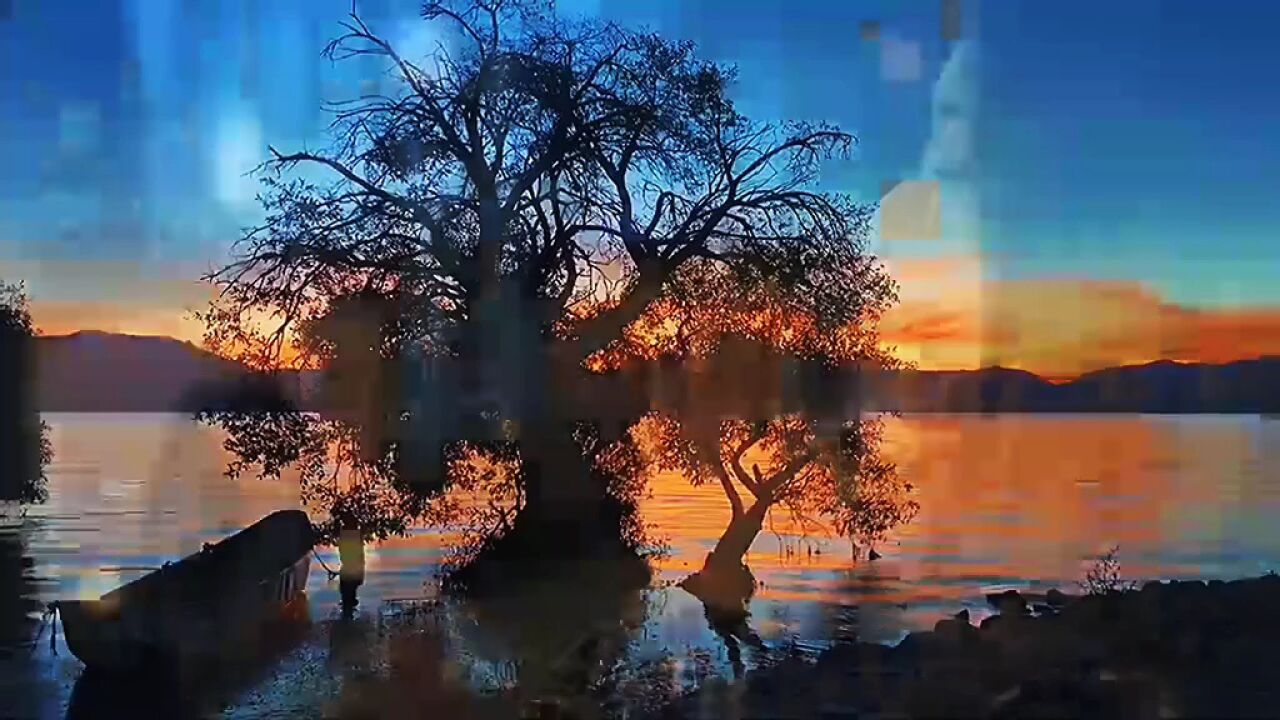 音乐mv/好大一棵树/田震力作