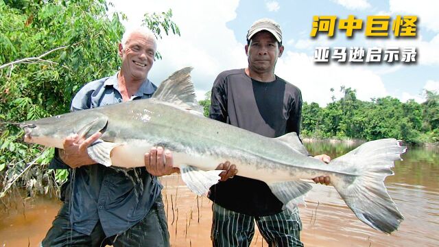 《河中巨怪》亚马逊启示录,杰叔来到亚马逊河,调查30年前发生的一场恐怖杀戮 