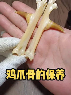 鸡爪文玩如何盘玩