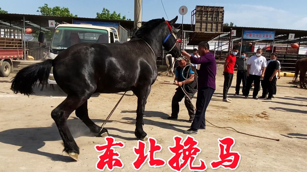 1500斤的東北重型