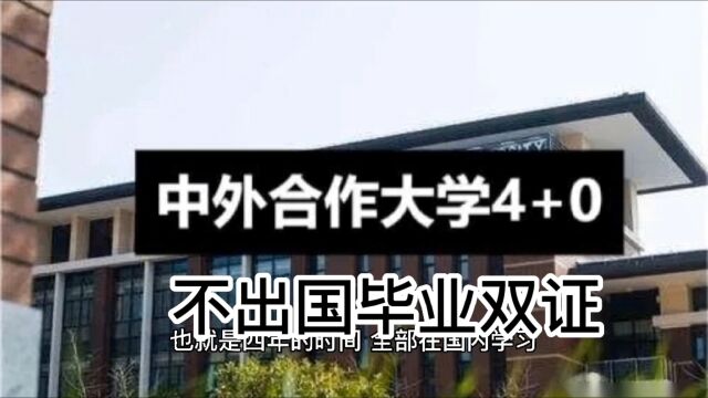 高考不理想,选择中外合作4+0国际本科,依然可以上名校