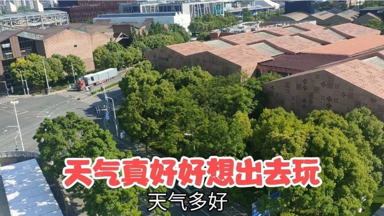 天气真好,还没解封,好想出去玩
