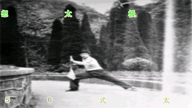 陈氏56式太极拳