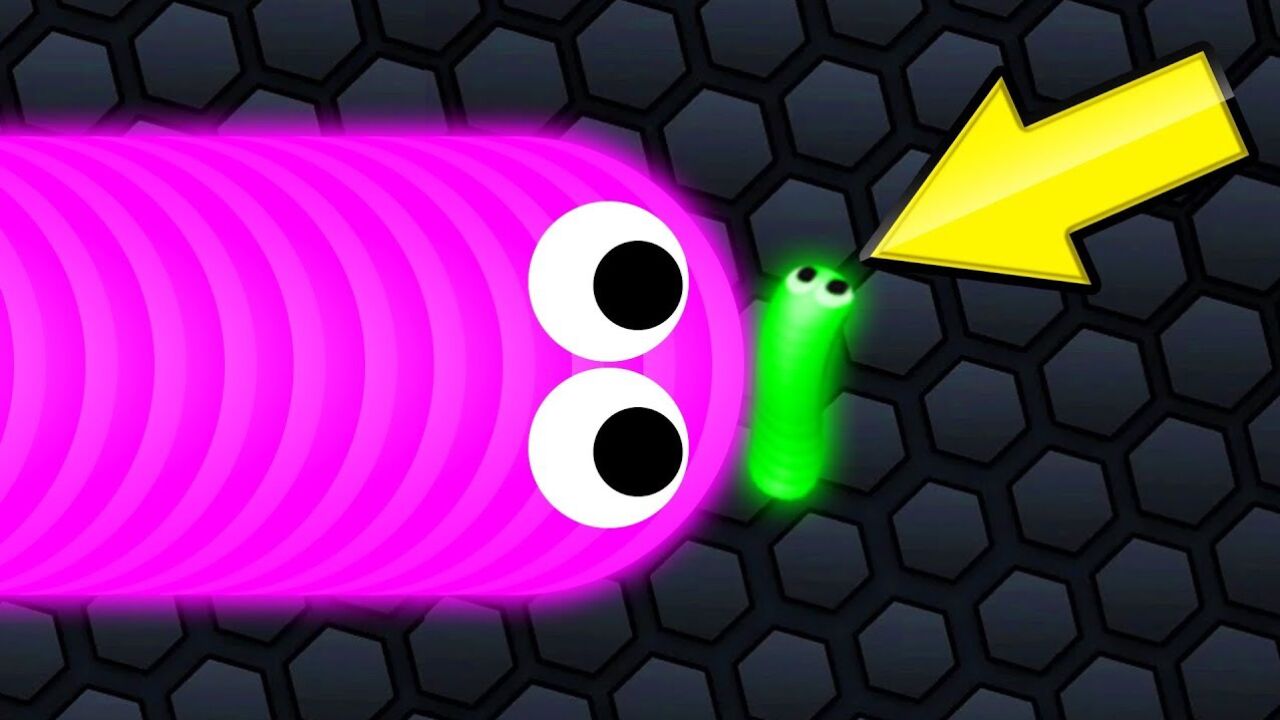 蛇蛇大作战:挑战一次围15只的蛇蛇,能否成功