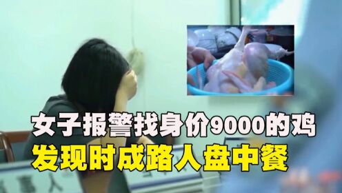 女子崩溃报警找身价9000的鸡，不料将成盘中餐，为吃鸡路人花了3000块